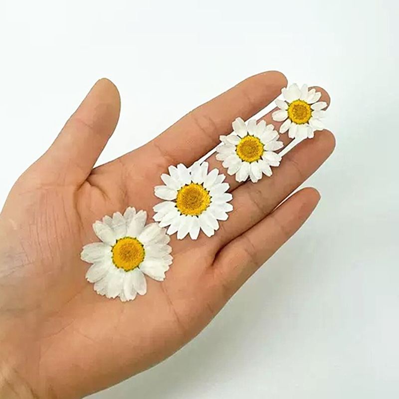 100 Peças de Cristal Branco Na - Resin Art Phone Case avaliação e preço