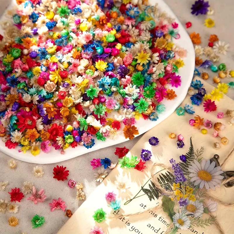 Flor colorida mista para molda - Resin Art Design avaliação e preço