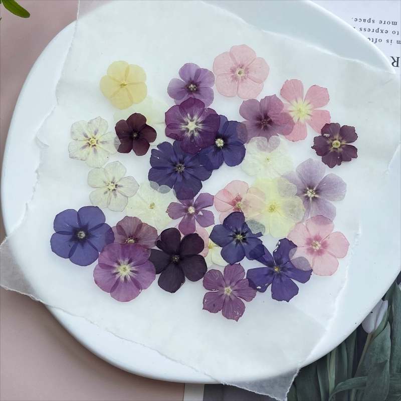 12 peças, nicho semi-transpare - Resin Art Phone Case avaliação e preço