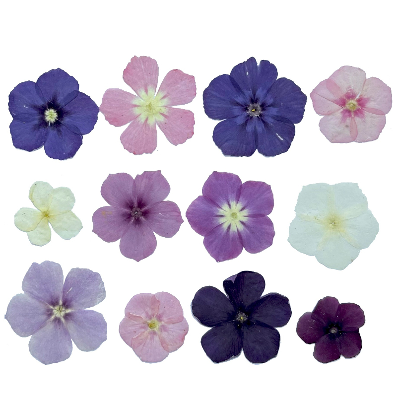 12 peças, nicho semi-transpare - Resin Art Phone Case avaliação e preço